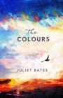 The Colours : a captivating, epic historical drama about family, love and loss - eBook