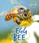 Lifecycles: Egg to Bee - eBook