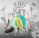 It Fell From The Sky - eBook