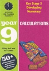 Calculations: Year 9 : Activities for the Daily Maths Lesson - Book