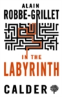 In the Labyrinth - eBook