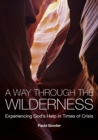 A Way Through the Wilderness : Experiencing God's Help in Times of Crisis - eBook