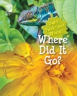 Where Did It Go? - eBook