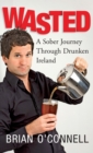 Wasted: Sober in Ireland - eBook