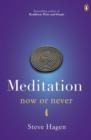 Meditation Now or Never - eBook