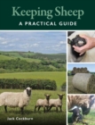 Keeping Sheep - eBook