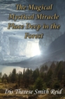 The Magical Mystical Miracle Place Deep in the Forest - eBook