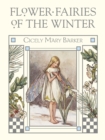 Flower Fairies of the Winter - eBook
