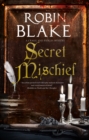 Secret Mischief - Book