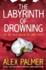 The Labyrinth of Drowning - eBook