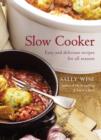 Slow Cooker : Easy and Delicious Recipes for All Seasons - eBook