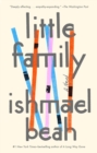 Little Family : A Novel - Book