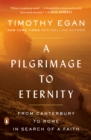 Pilgrimage to Eternity - eBook