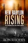 New Babylon Rising : The Emerging End Times World Order - eBook