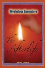 The Afterlife - eBook