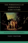 Persistence of Subsistence Agriculture : Life Beneath the Level of the Marketplace - eBook