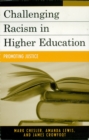 Challenging Racism in Higher Education : Promoting Justice - eBook