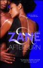 Afterburn : A Novel - eBook