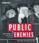 Public Enemies - eAudiobook