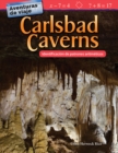 Aventuras de viaje : Carlsbad Caverns: Identificacion de patrones aritmeticos (Travel Adventures: Carlsbad Caverns: Identifying Arithmetic Patterns) - eBook