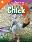 Hatching a Chick - eBook