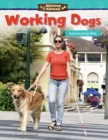Amazing Animals: Working Dogs : Summarizing Data - eBook