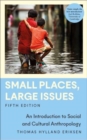 Small Places, Large Issues : An Introduction to Social and Cultural Anthropology - Book