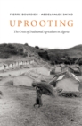 Uprooting : The Crisis of Traditional Algriculture in Algeria - Book