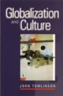 Globalization and Culture - eBook
