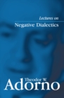Lectures on Negative Dialectics : Fragments of a Lecture Course 1965/1966 - eBook