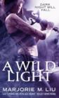 A Wild Light : Hunter Kiss: Book 3 - eBook