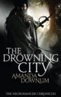 The Drowning City - eBook