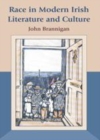 Race in Modern Irish Literature and Culture - eBook