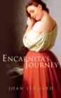 Encarnita's Journey - eBook