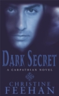 Dark Secret : Number 15 in series - Book