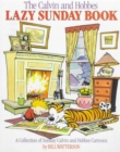 Lazy Sunday : Calvin & Hobbes Series: Book Five - Book
