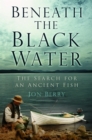 Beneath the Black Water - eBook