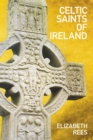 Celtic Saints of Ireland - eBook