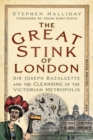 The Great Stink of London - eBook