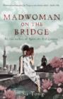 Madwoman On The Bridge And Other Stories - eBook