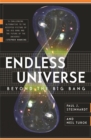 Endless Universe : Beyond The Big Bang - Book