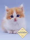 Sketchbook: Kitten - Book