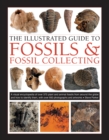 Fossils & Fossil Collecting, The Illustrated Guide to : A reference guide to over 375 plant and animal fossils from around the globe and how to identify them, with over 950 photographs and artworks - Book