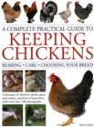 Keeping Chickens, Complete Practical Guide to : Rearing; Care; Choosing Your Breed: A directory of chickens, ducks, geese and turkeys, and how to keep them, with over 700 photographs - Book