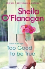 Too Good To Be True : A feel-good read of romance and adventure - Book