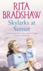 Skylarks At Sunset : An unforgettable saga of love, family and hope - eBook