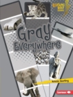 Gray Everywhere - eBook