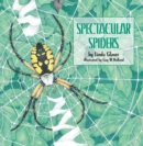 Spectacular Spiders - eBook