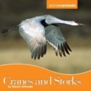 Cranes and Storks - eBook