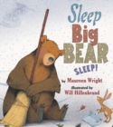 Sleep, Big Bear, Sleep! - Book